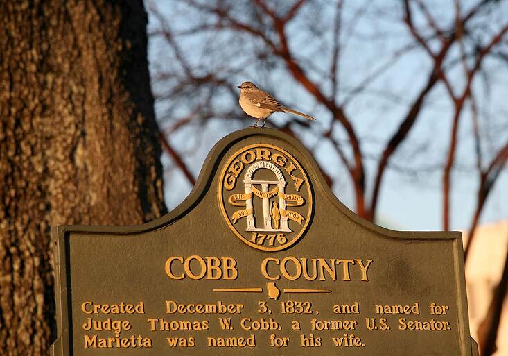 Cobb County Tax Assessment