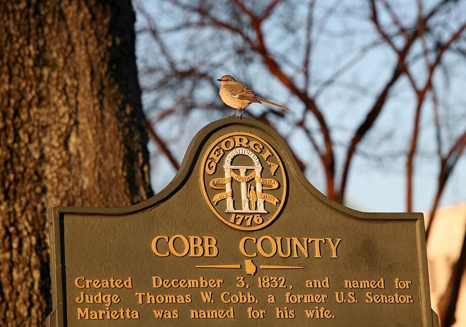 Property Tax in Cobb County